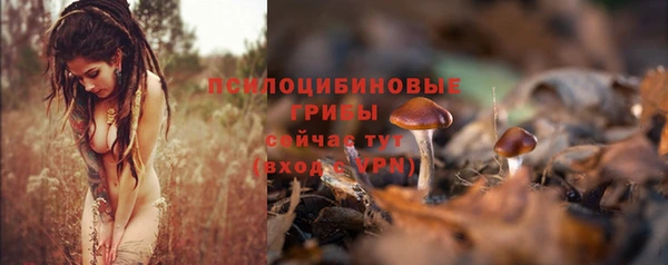 mdma Гусев
