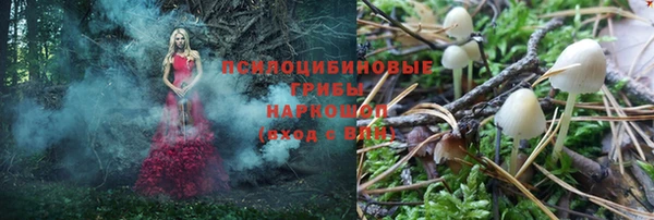 мдма Гусиноозёрск