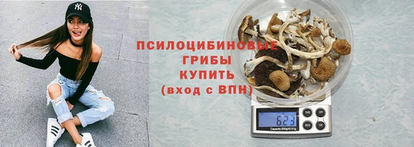 a pvp Гусь-Хрустальный