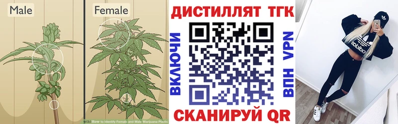 Купить закладки  Смоленск  Дистиллят ТГК вейп с тгк 