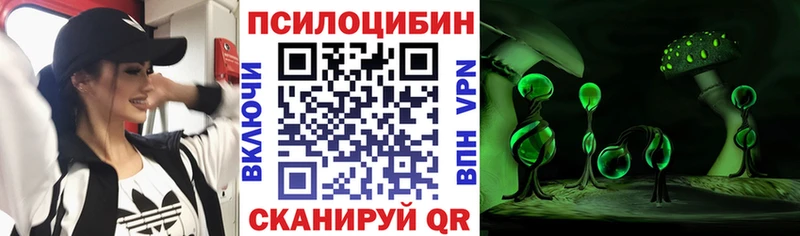 Галлюциногенные грибы MAGIC MUSHROOMS  Купить закладки  Смоленск 